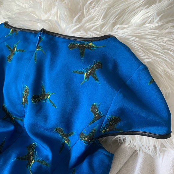 Kensie Blue with Sparrow Print Skater Dress - Picture 4 of 12